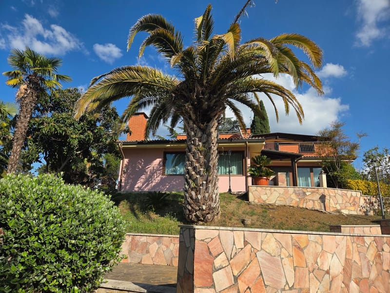 Before: pink villa with a palm tree, stone walls and a patchy lawn with bare soil